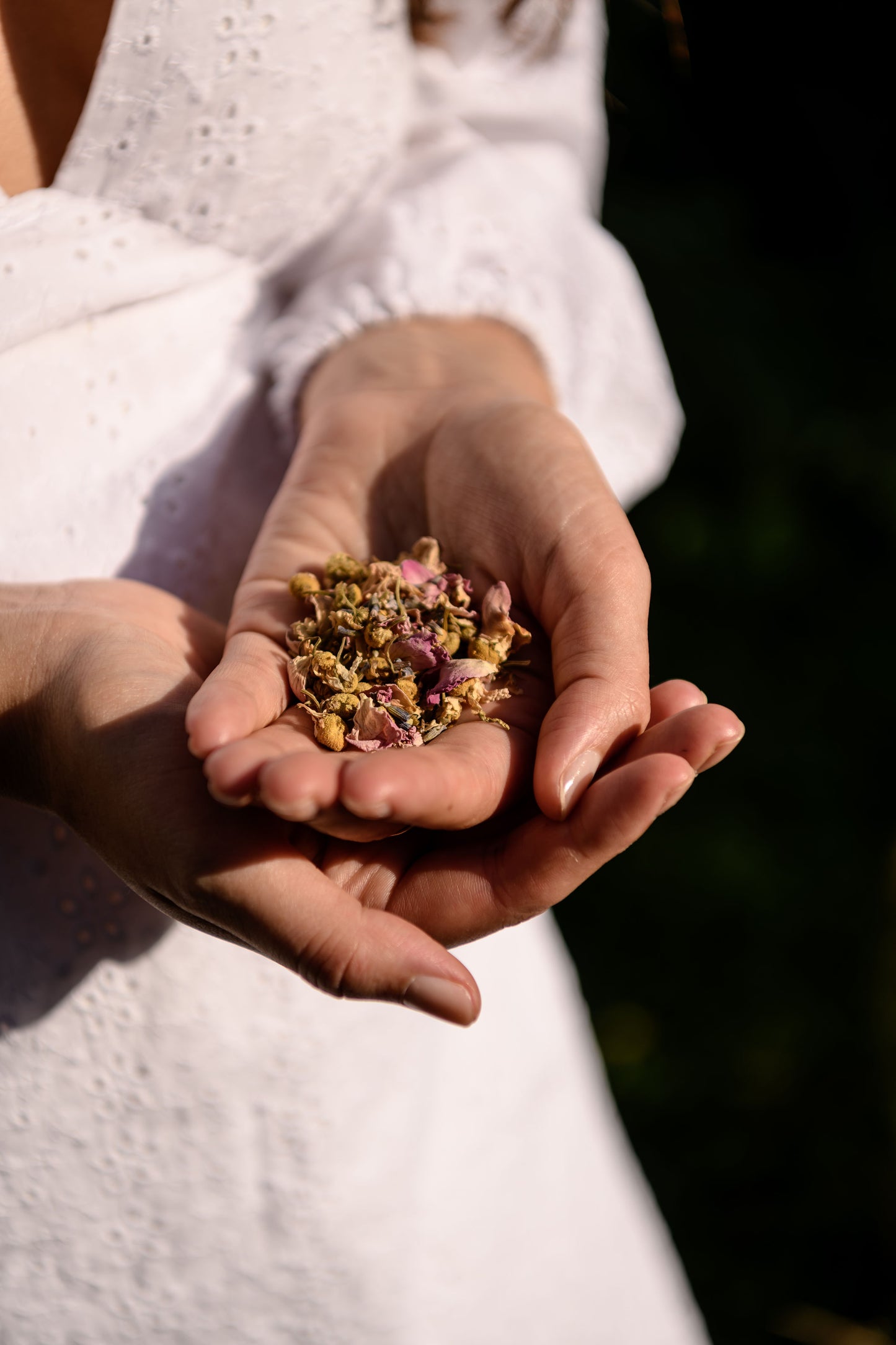 Natuurlijke Kruidenapotheek Guide